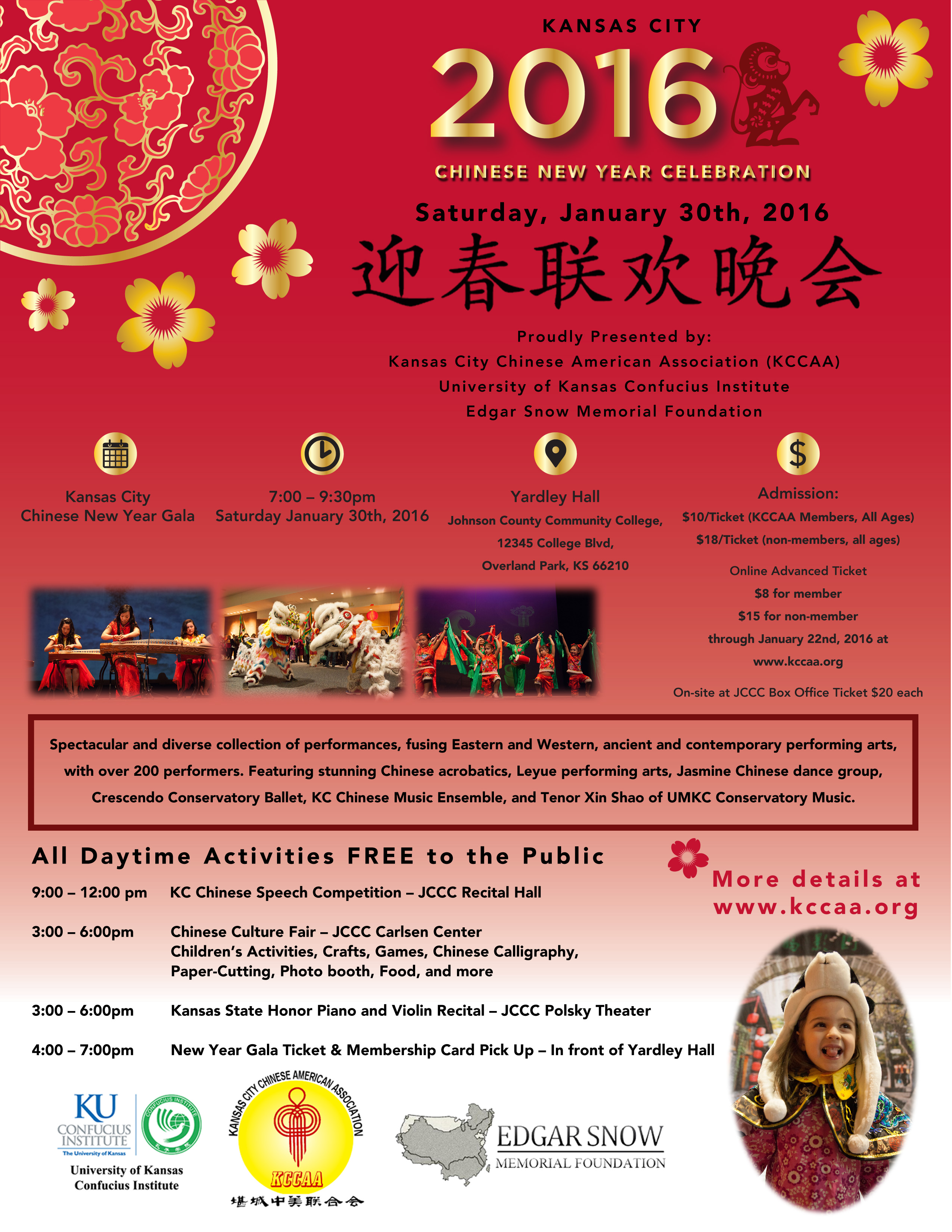 2016 Chinese New Year Fireworks
